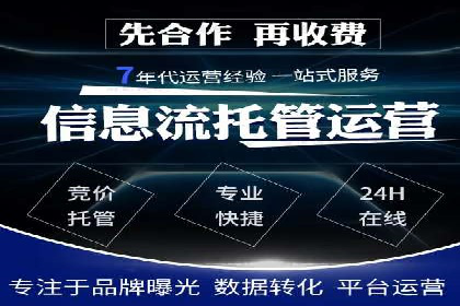 竞价广告的投放策略与效果评估——以一成功企业为例